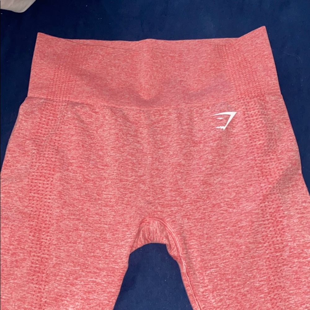 Gym shark Leggings